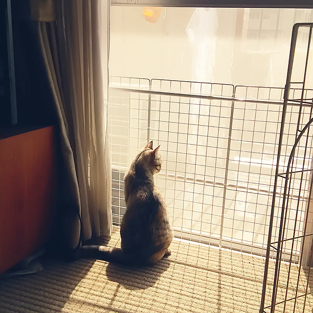 ranranさんの実例写真