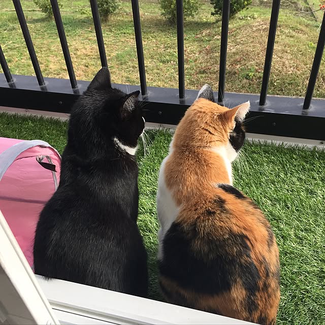 mtkさんの実例写真