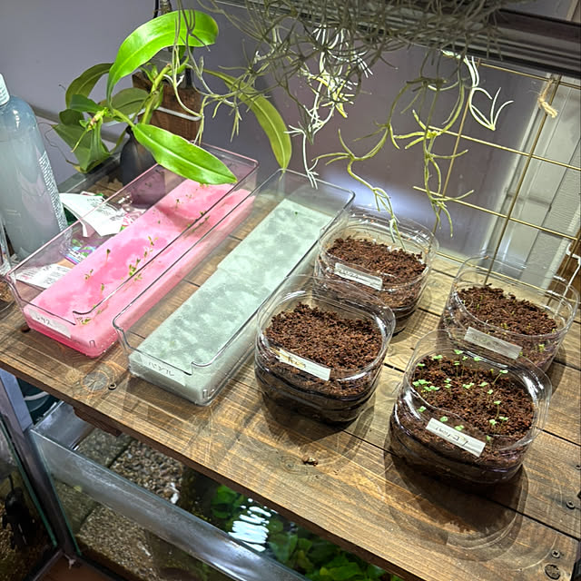 greycatsさんの実例写真