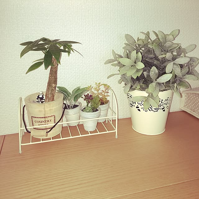 guriさんの実例写真