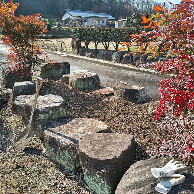 Rubiconさんの実例写真