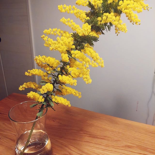 m.asaさんの部屋