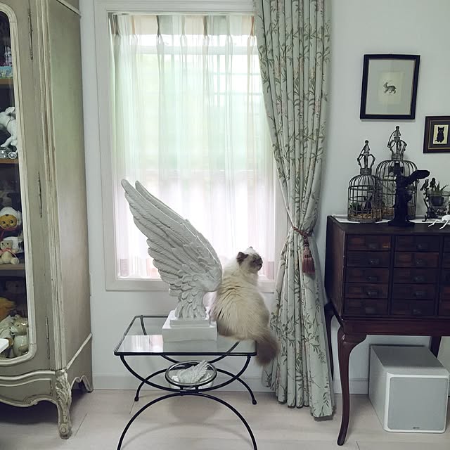 yuchiさんの実例写真