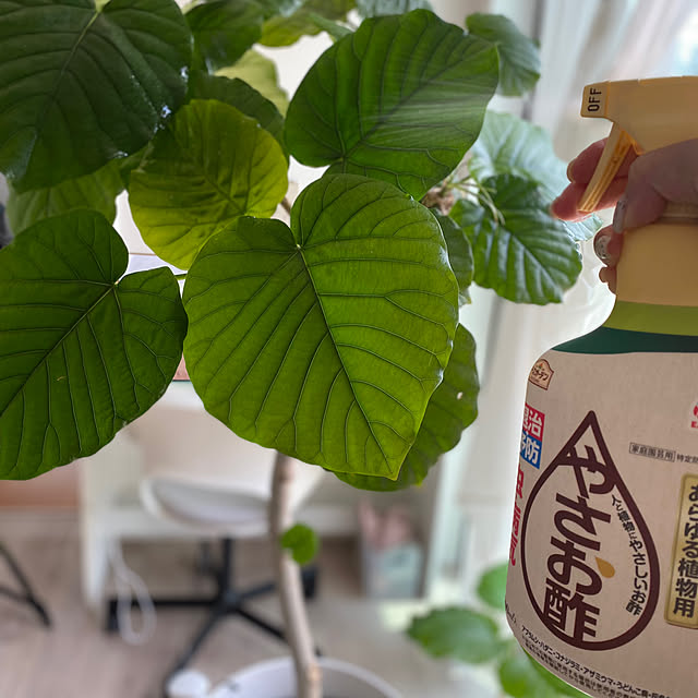 HelloKitchenさんの実例写真