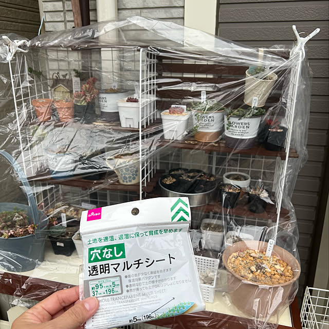 yumiさんの実例写真