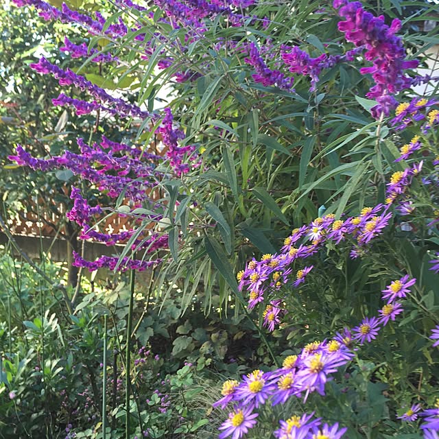 happygardenさんの実例写真