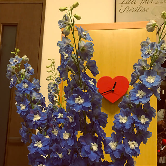 lavie0125さんの実例写真