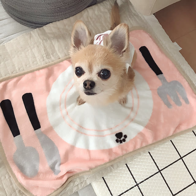 Emiさんの実例写真