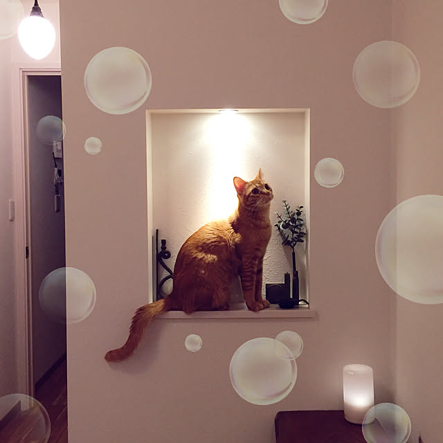 Hisashiさんの実例写真