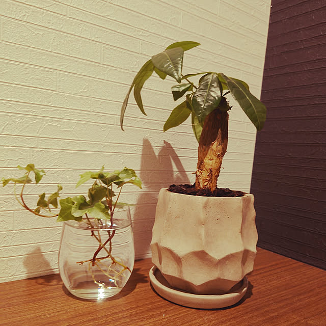 riiiiiiiiiiiiiiiiさんの実例写真