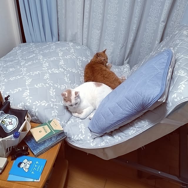 NOAHさんの部屋