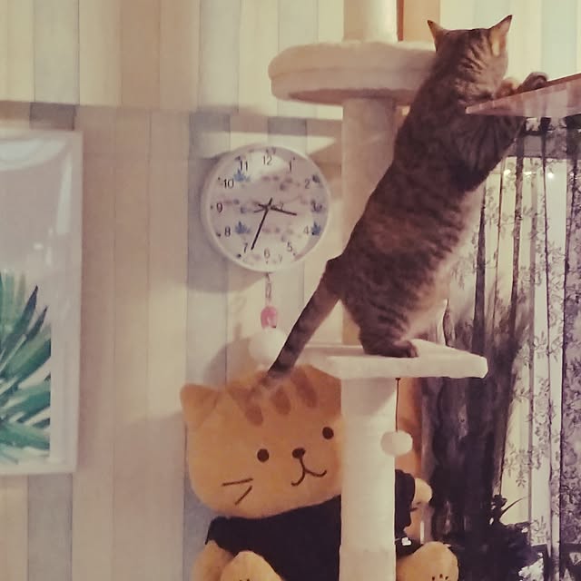 runaさんの部屋