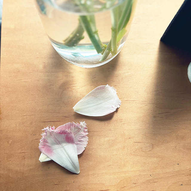 kukiharaさんの部屋