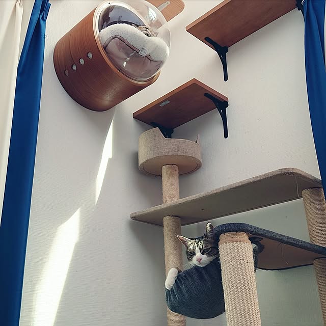 mochicoさんの実例写真