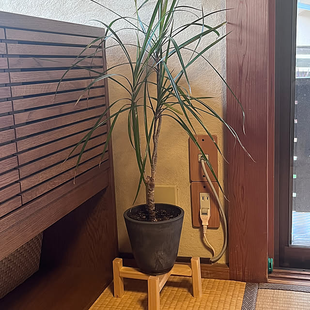 WAKKOさんの部屋