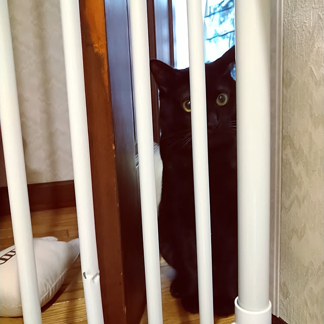 Tさんの実例写真