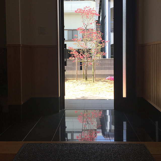 sorasoraさんの実例写真