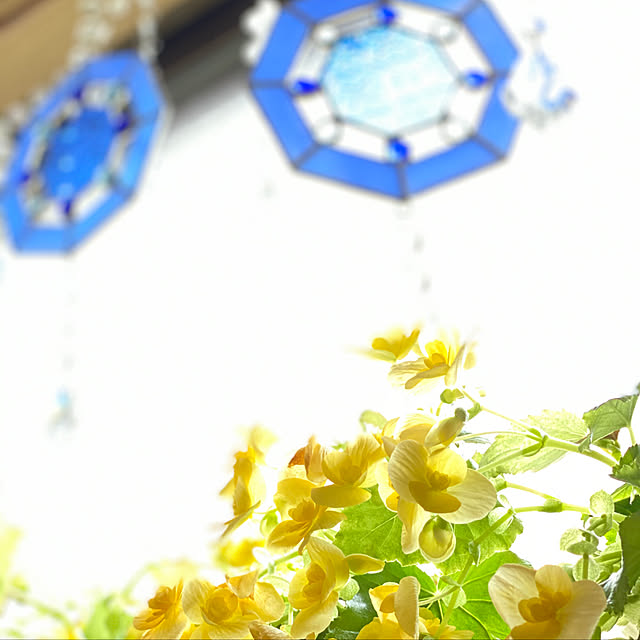ray55さんの実例写真