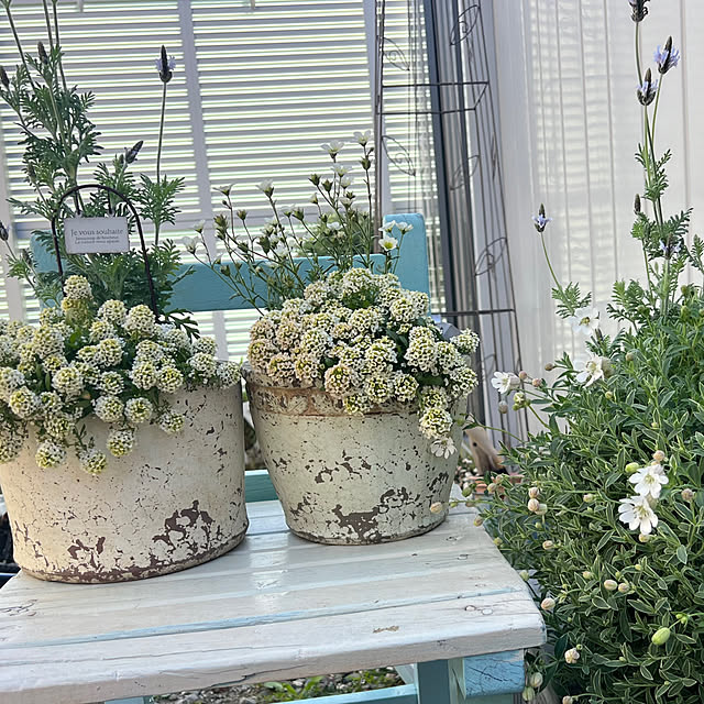 hi_riiさんの部屋