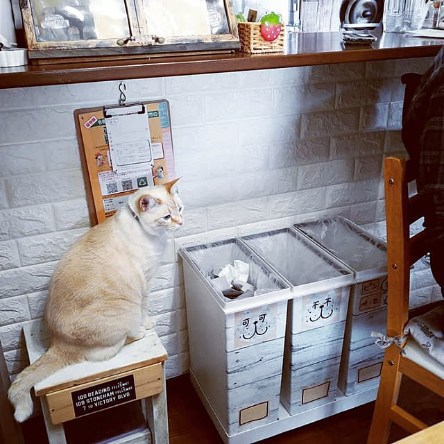 mntcさんの実例写真