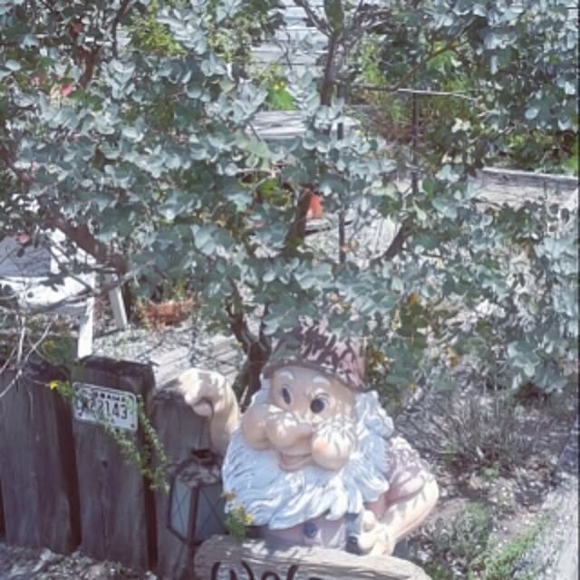Marikoさんの実例写真