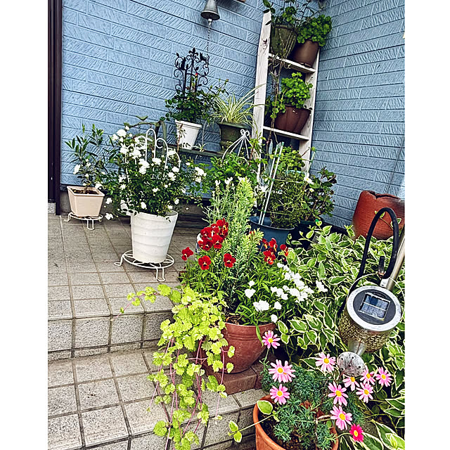 CoCo0617さんの実例写真