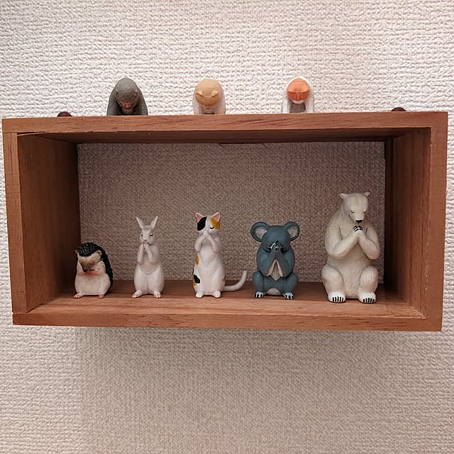 MIKNさんの部屋