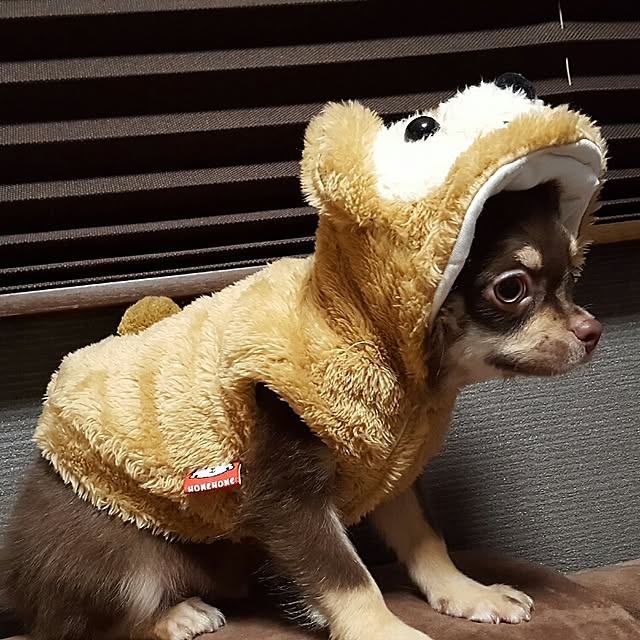 Dumboさんの実例写真