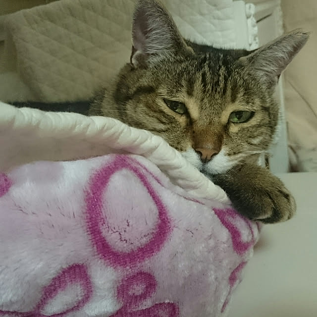 lilyさんの実例写真