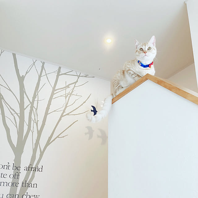 m.k.mさんの実例写真