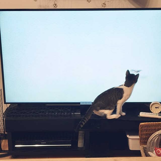 akimameさんの部屋