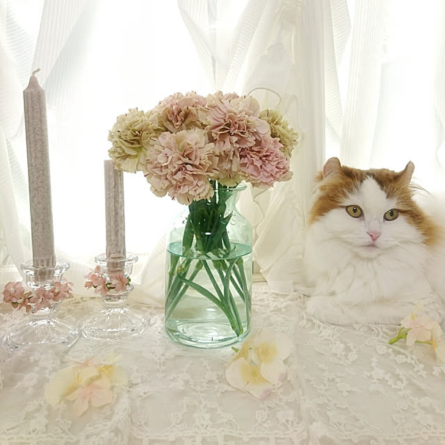 chururiさんの実例写真