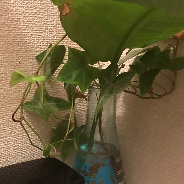 yuzupi84さんの実例写真