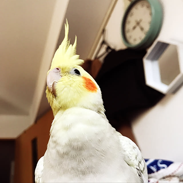 yuu04さんの実例写真