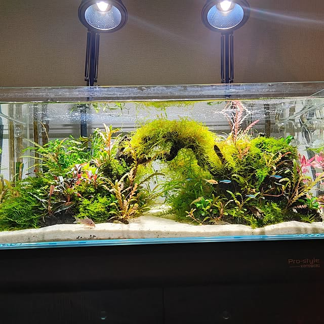 Xign_1992さんの部屋