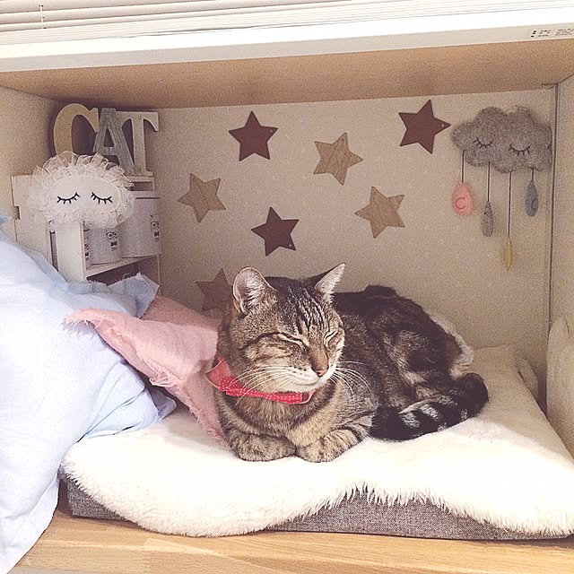 lovecatさんの実例写真