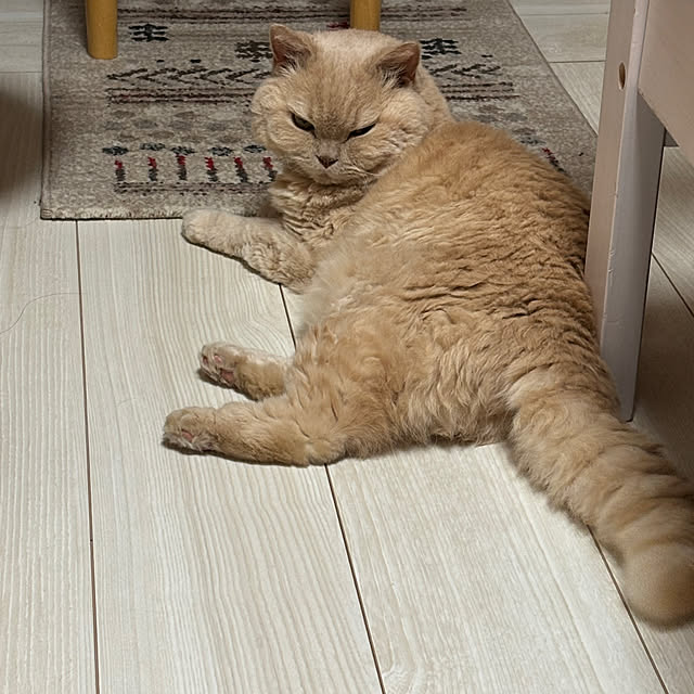naokoさんの実例写真