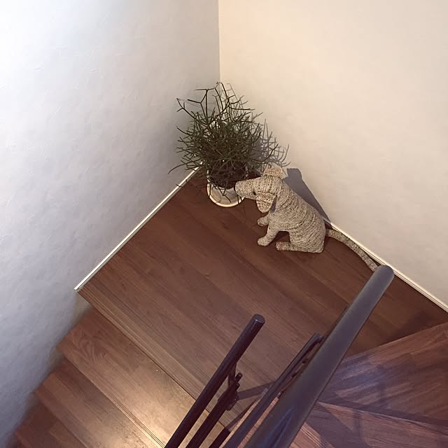 aco_meさんの実例写真