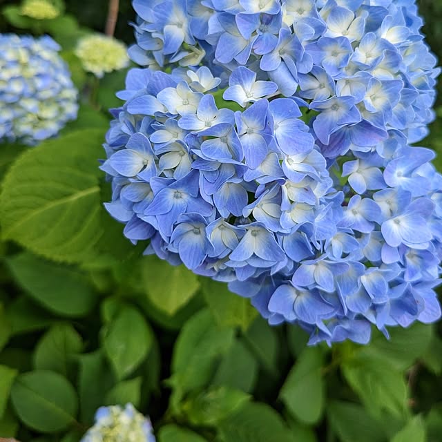 mamenoさんの部屋