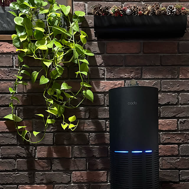 usagiさんの部屋