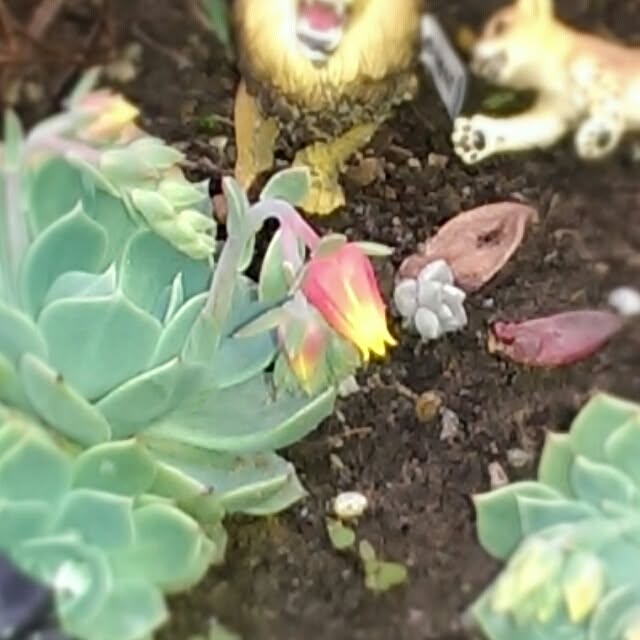 tibiさんの実例写真