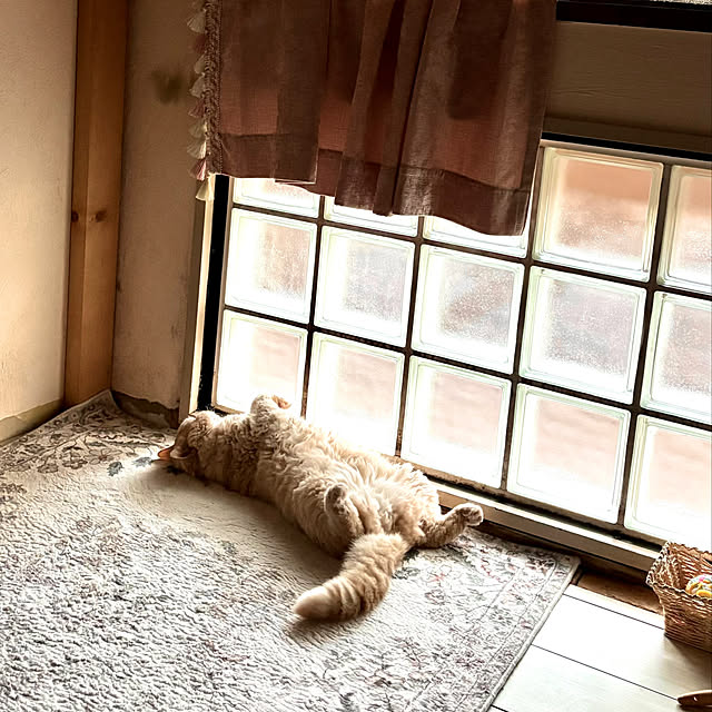 naokoさんの部屋