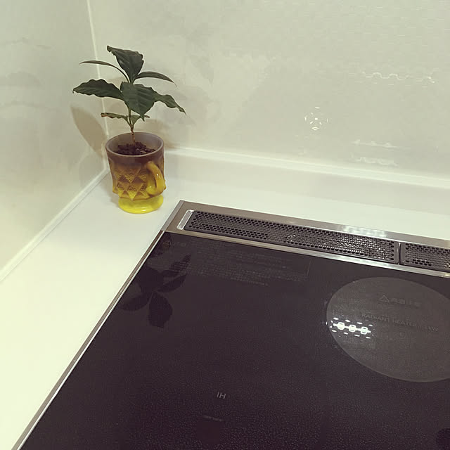 lllnklllさんの実例写真