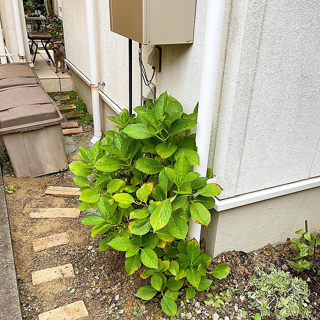 kuroさんの部屋