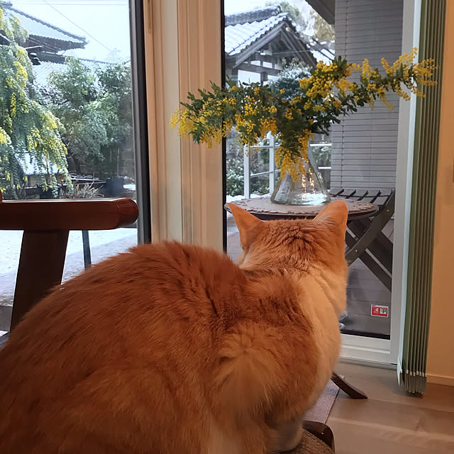 houenさんの部屋
