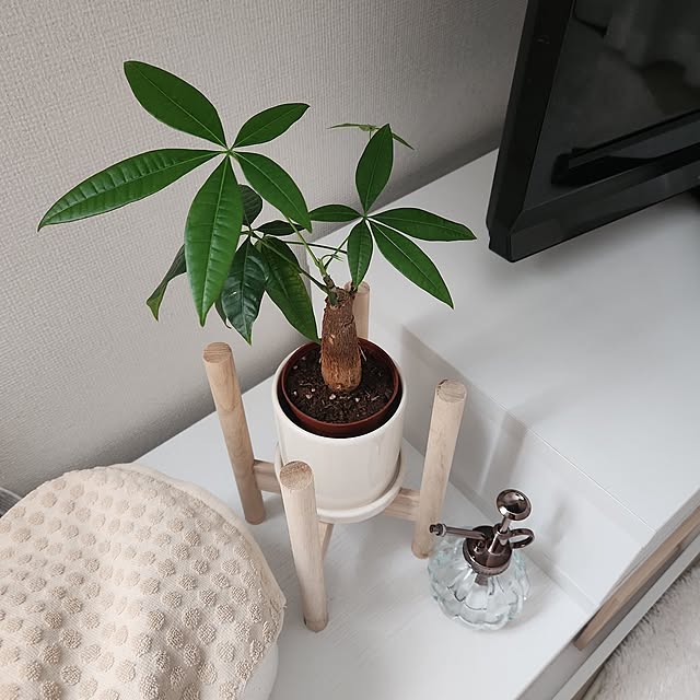 jsrsさんの実例写真