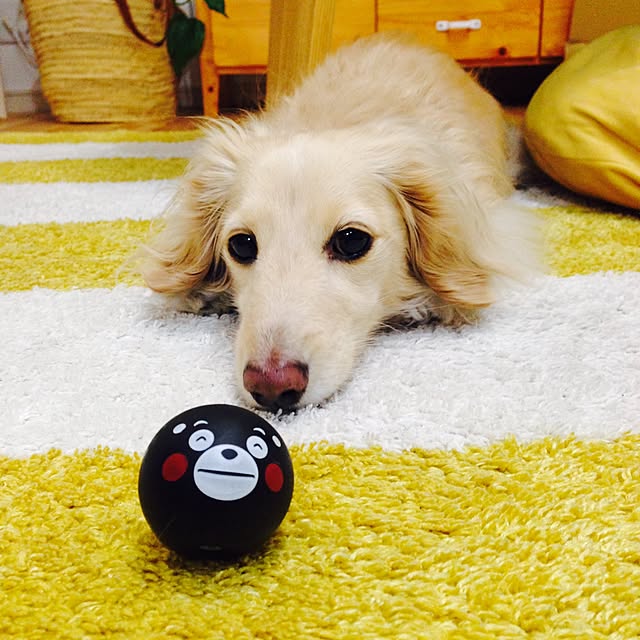 Erinさんの実例写真