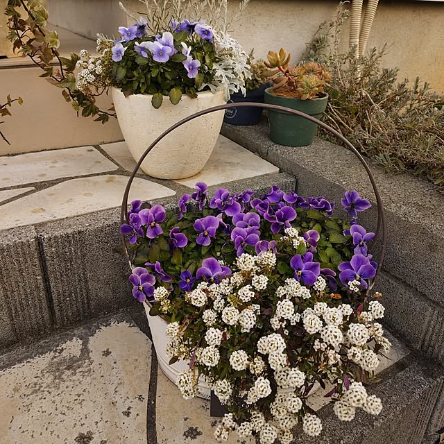 coconathuさんの部屋