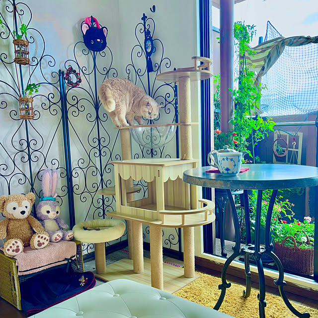 naokoさんの部屋