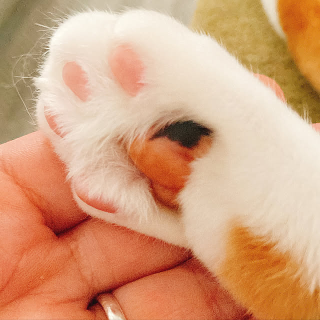 mariさんの実例写真